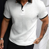 Colorblock Polo Shirt for Men