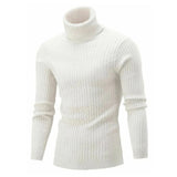 Men's Ribbed Knit Roll-Neck Stretch Sweater